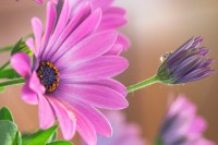 /album/water-drops/senza-titolo-6297-jpg/